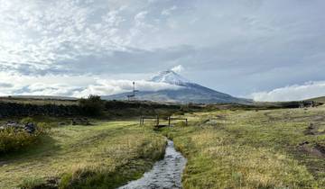 Mountain stream leading to a snow-capped peak.