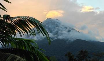 A volcano with lush greenery and mist.