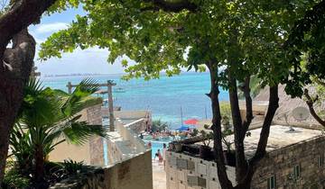 Seaside view through trees with turquoise water.
