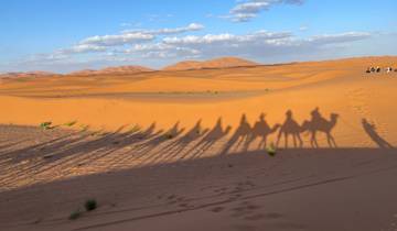 Camel caravan casting long shadows on desert dunes under a blue sky.