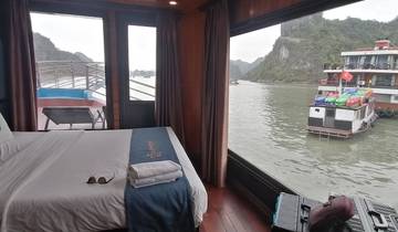 View from a cruise cabin with boats visible through the window.