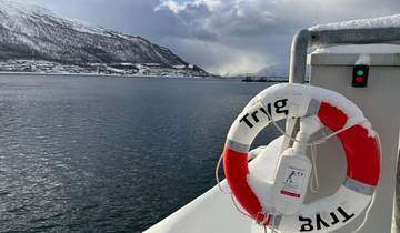 Snow-covered mountains and water body with a life preserver in the foreground.