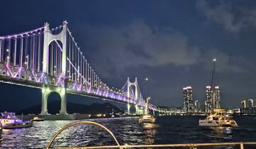 Bridge illuminated at night with city skyline and boats in water.