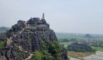 A hillside with stone steps leading up to a pagoda.