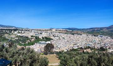 Panoramic view of a city surrounded by hills.
