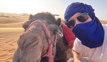 Person and camel in the Sahara Desert.