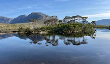 A tranquil lake with an island of tall trees reflecting in the water, surrounded by mountains.