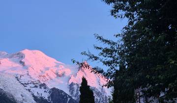 Sunlit peaks of Mont Blanc with trees in the foreground.