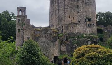 Ancient castle ruin with a tower, surrounded by greenery.