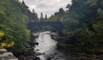Stone bridge over a stream in a lush forest.