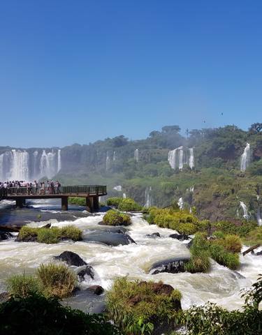 Tourists on a platform overlooking Iguazu Falls with lush greenery.