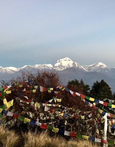 Himalayan mountain range with prayer flags in the foreground.