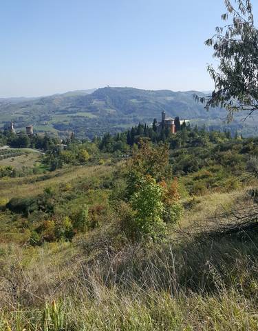 Scenic view of a hilltop with a castle surrounded by trees and mountains.