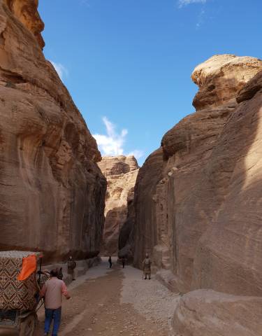 High rock walls under clear blue sky, forming a canyon.