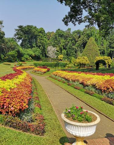 Beautifully landscaped garden with colorful plants and pathways.