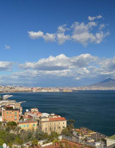 Coastal city view with a prominent mountain in the background