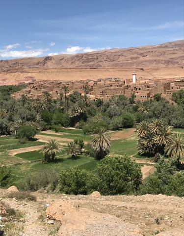 Oasis with palm trees and a historic village.