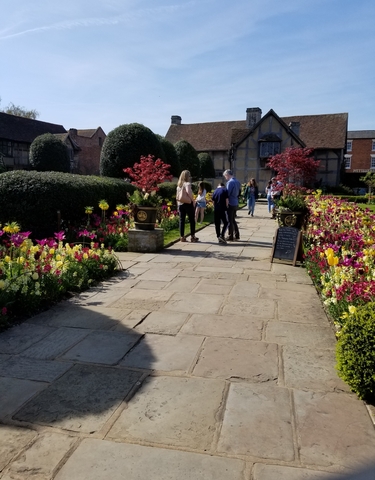 Pathway lined with colorful flowers in a garden setting.