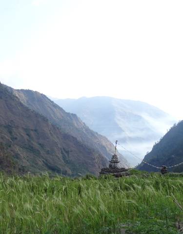 Green field with stupas and mountains in the background.