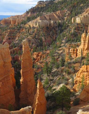A breathtaking view of Bryce Canyon with its unique rock formations.