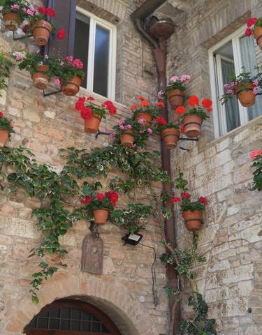 Stone building facade with colorful flower pots attached.