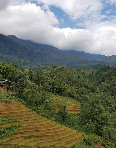 Terraced rice fields in a mountainous landscape under a partly cloudy sky.