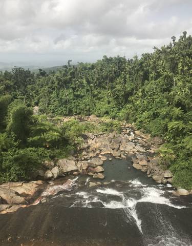River with rocky bed and forest background.