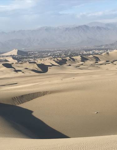 Expansive sand dunes stretching into the distance.