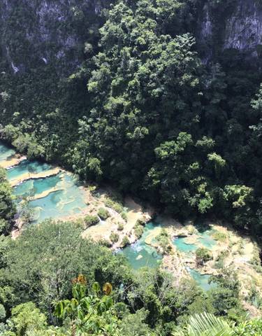 Aerial view of terraced turquoise pools in a forest.