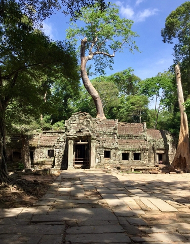 Ancient stone temple surrounded by trees.