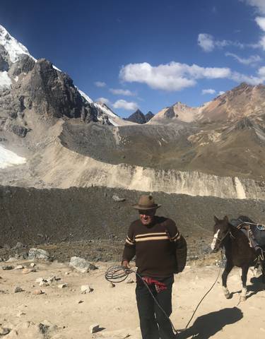Person with a horse on a mountain path with glacier views.