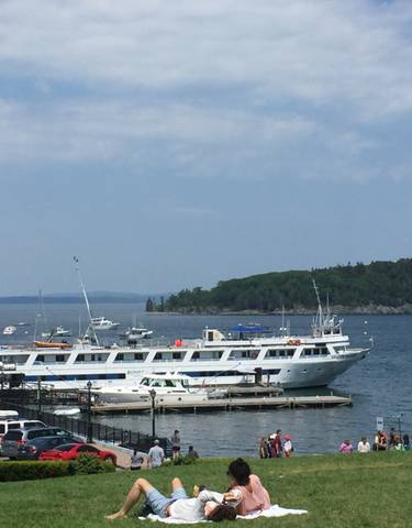 Dock with boats and distant shoreline.