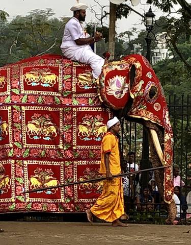 A man standing next to a decorated elephant in ceremonial attire.