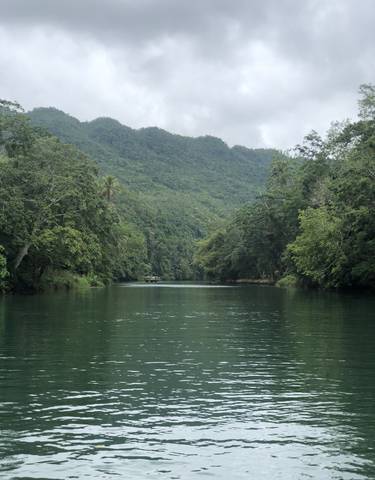 Serene view of a river surrounded by lush green trees.