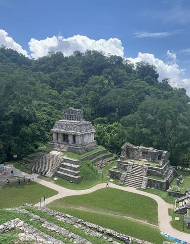 Ancient stone structures in a jungle setting.