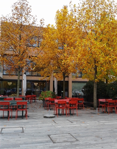 Outdoor scene with autumn-colored trees and a terrace with red chairs and tables.