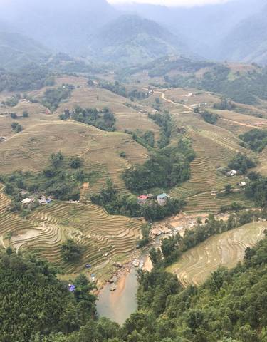 Aerial view of terraced fields on rolling hills.