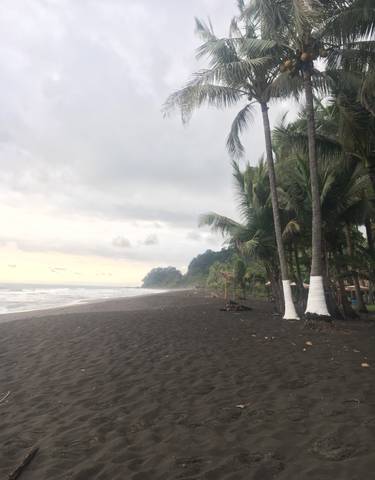 Wide view of a palm-lined beach at sunset.