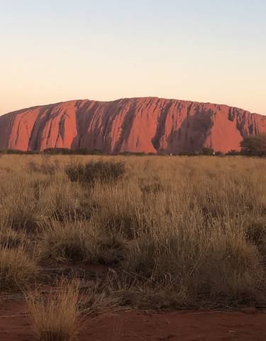 View of Uluru rock formation in a field during sunset.