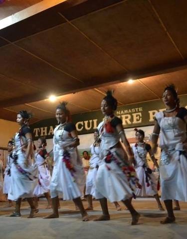 Cultural dance performance on stage.