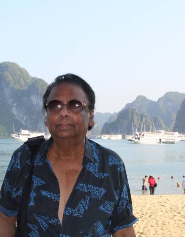 Person on a beach with limestone karsts in the background.