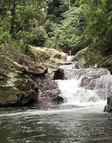 Waterfall in a lush forest setting.
