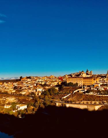 Panoramic view of a historic city with a prominent cathedral.