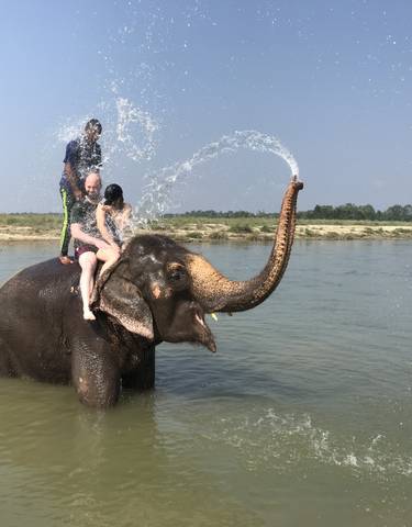 People on an elephant having fun in a river.