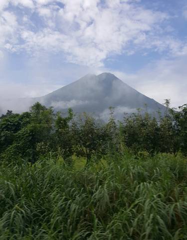 A distant view of a tall volcano enveloped in clouds and surrounded by greenery.