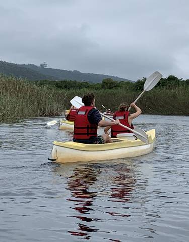 Group kayaking on a calm waterway with surrounding vegetation.