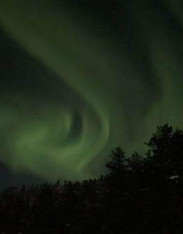 Aurora borealis in the night sky over a forest.