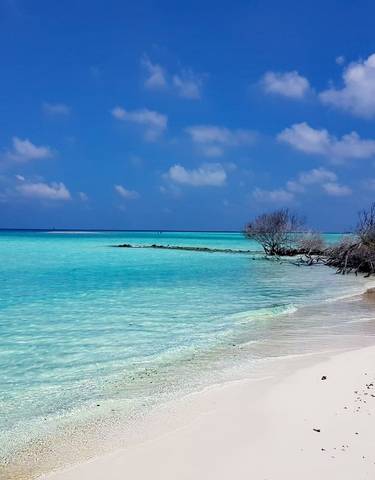Pristine beach with clear turquoise waters and blue sky.