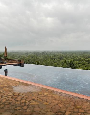 Infinity pool overlooking a forest.