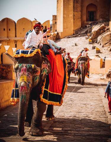 Decorated elephants walking up a stone path near architectural structures.